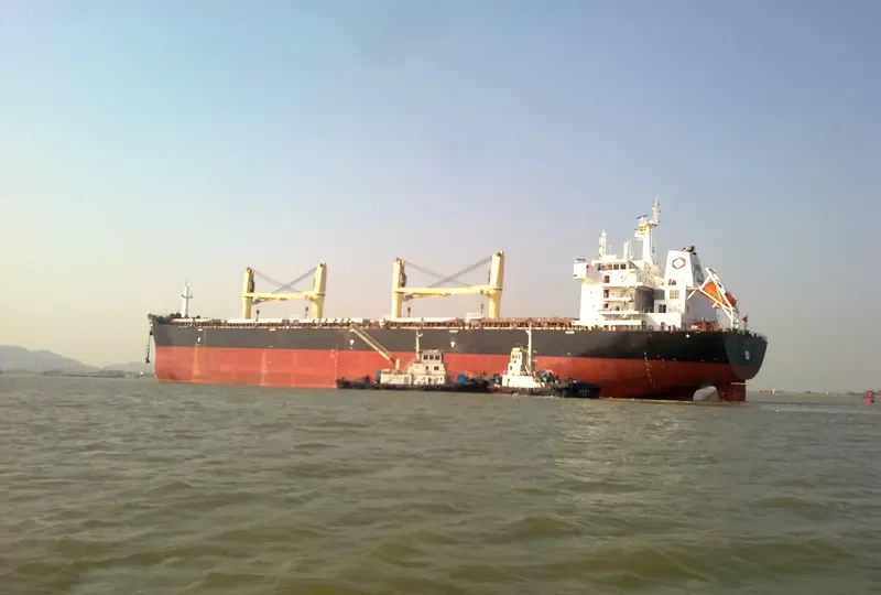 WU XING 5 Bulk Carrier IMO 9604598 photo 3