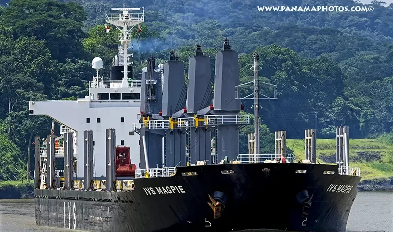 IVS MAGPIE Bulk Carrier IMO 9604732 photo 3