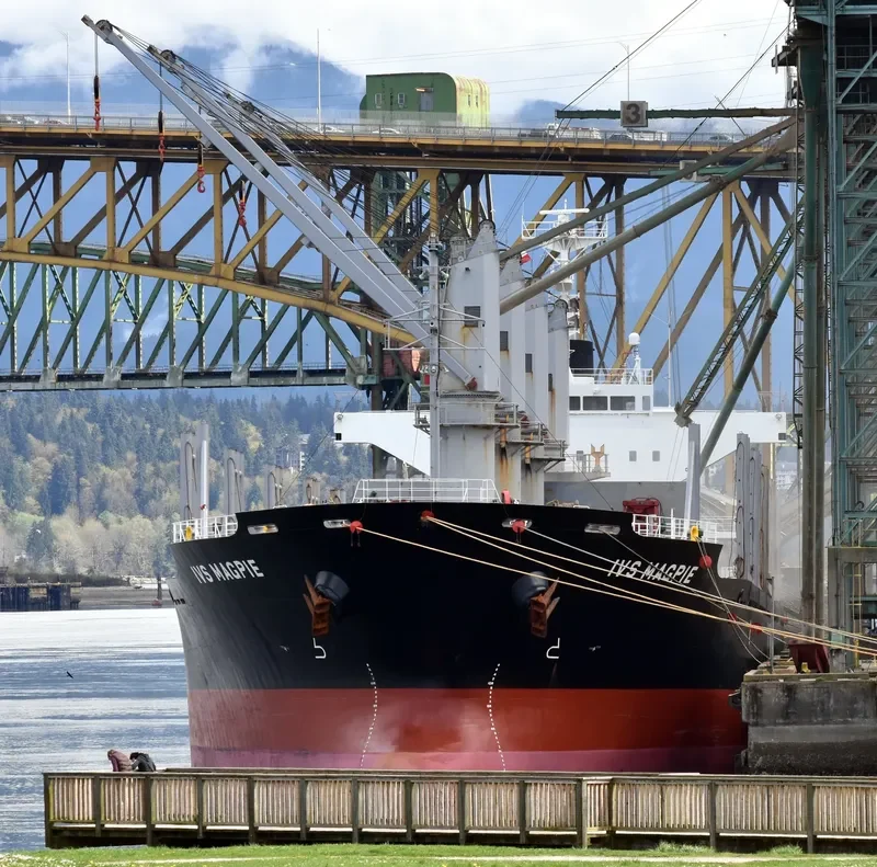 IVS MAGPIE Bulk Carrier IMO 9604732 photo 5