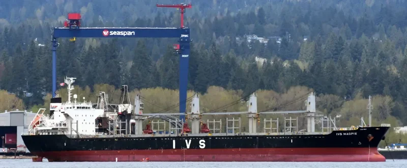 IVS MAGPIE Bulk Carrier IMO 9604732 photo 8