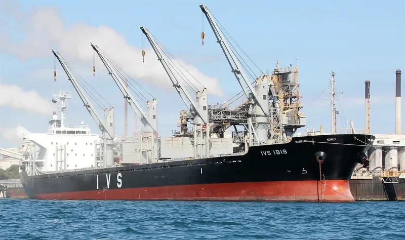 IVS IBIS Bulk Carrier IMO 9604744 photo 2