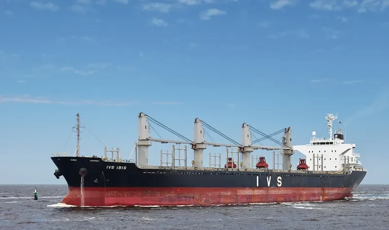IVS IBIS Bulk Carrier IMO 9604744 photo 3