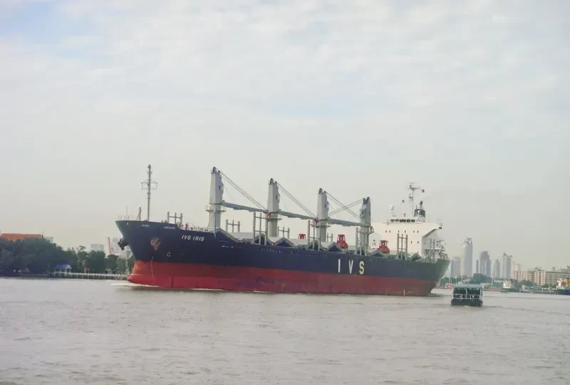 IVS IBIS Bulk Carrier IMO 9604744 photo 8