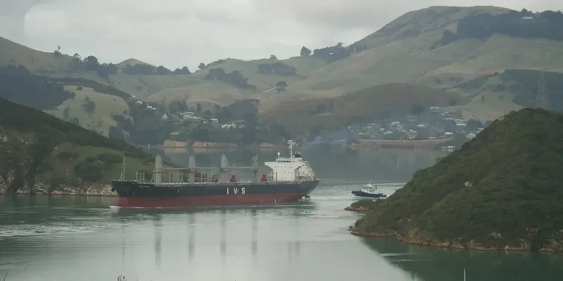 IVS IBIS Bulk Carrier IMO 9604744 photo 9
