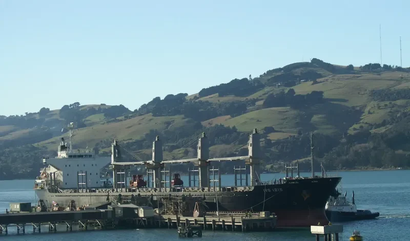 IVS IBIS Bulk Carrier IMO 9604744 photo 10