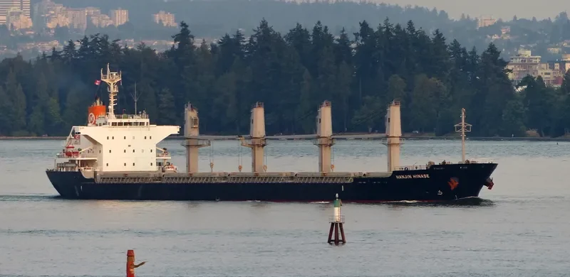 HINASE Bulk Carrier IMO 9604768 photo 5