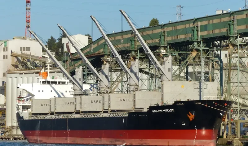 HINASE Bulk Carrier IMO 9604768 photo 8