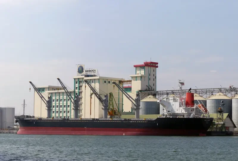 LEAP HEART Bulk Carrier IMO 9604770 photo 4