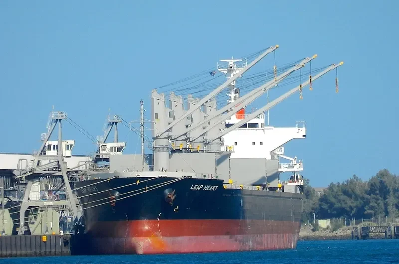 LEAP HEART Bulk Carrier IMO 9604770 photo 7