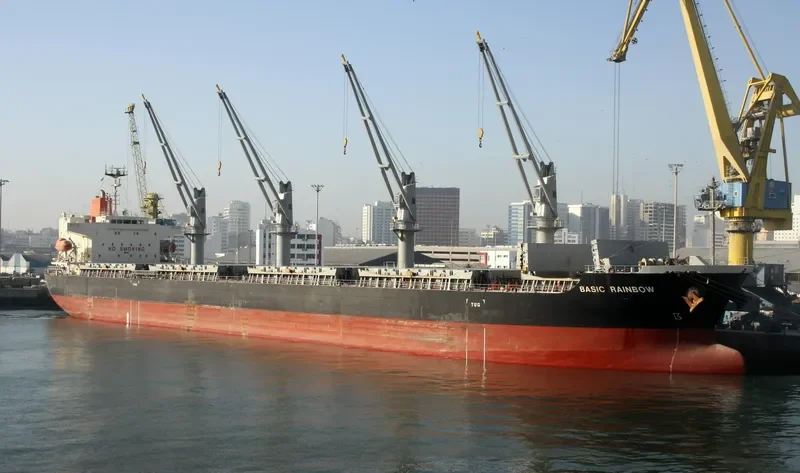 BASIC RAINBOW Bulk Carrier IMO 9604847 photo 3