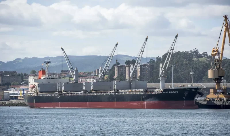 BASIC RAINBOW Bulk Carrier IMO 9604847 photo 6