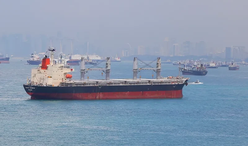 BASIC RAINBOW Bulk Carrier IMO 9604847 photo 8