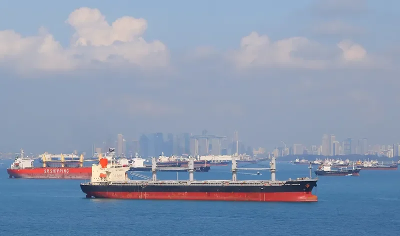 BASIC RAINBOW Bulk Carrier IMO 9604847 photo 9
