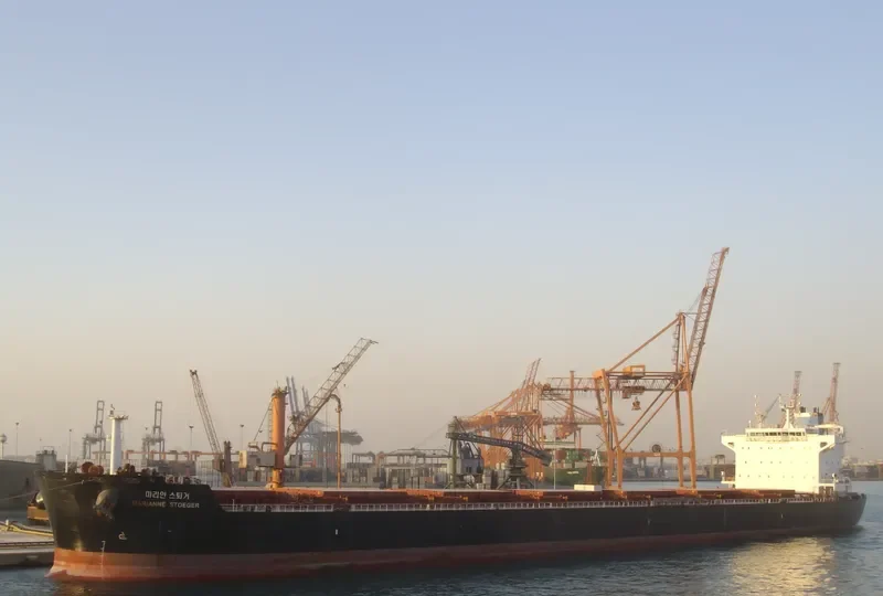 MARIANNE STOEGER Bulk Carrier IMO 9604859 photo 2