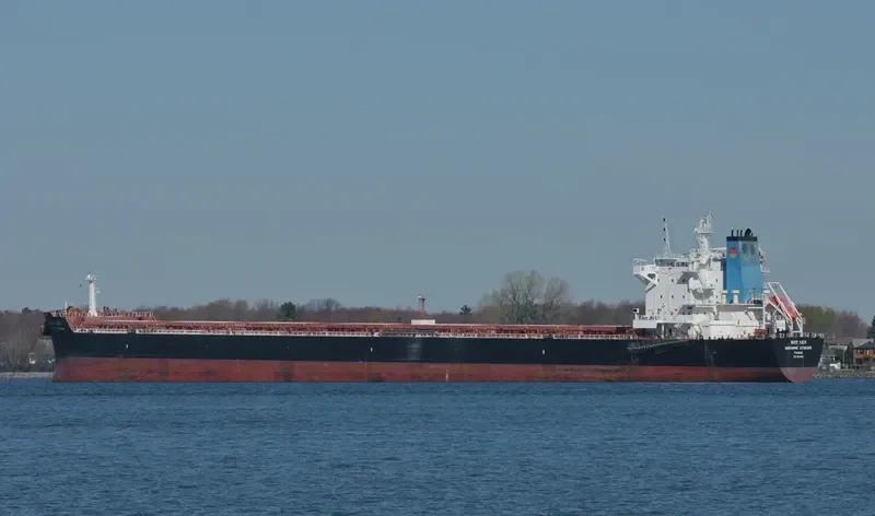 MARIANNE STOEGER Bulk Carrier IMO 9604859 photo 3