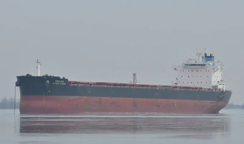 MARIANNE STOEGER Bulk Carrier IMO 9604859 photo 7