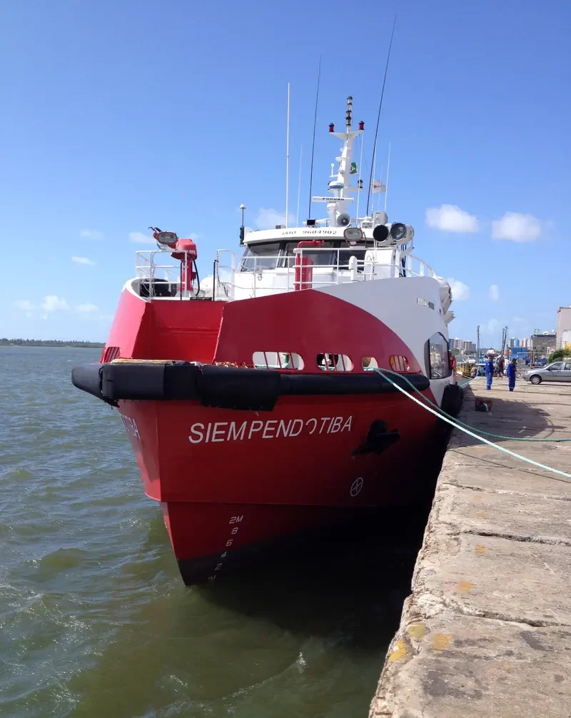 SIEM PENDOTIBA General Cargo IMO 9604902 photo 3