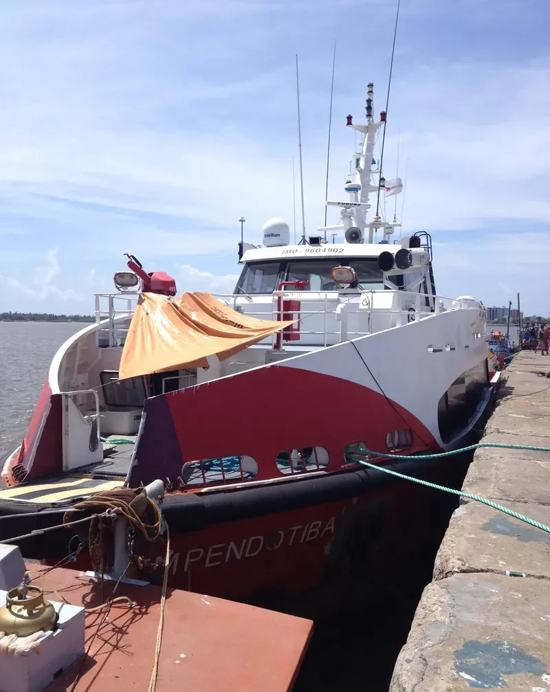 SIEM PENDOTIBA General Cargo IMO 9604902 photo 4