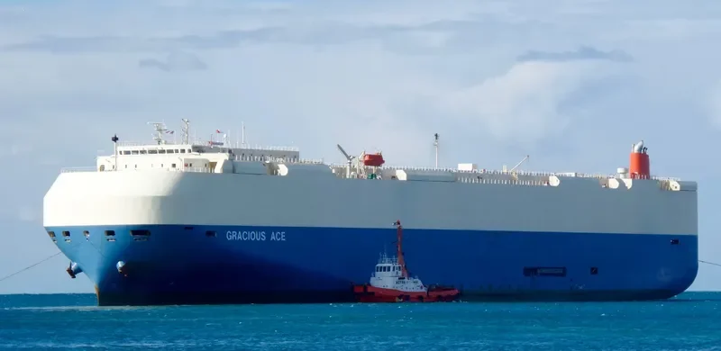 GRACIOUS ACE General Cargo IMO 9604914 photo 7