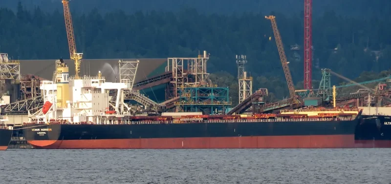 VENUS HORIZON Bulk Carrier IMO 9604952