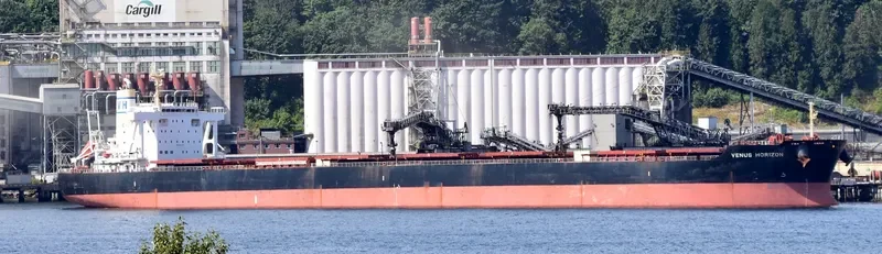 VENUS HORIZON Bulk Carrier IMO 9604952 photo 2