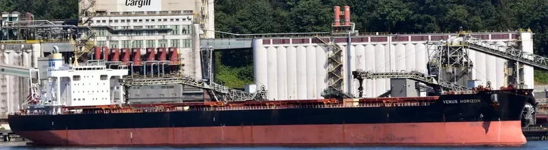 VENUS HORIZON Bulk Carrier IMO 9604952 photo 3