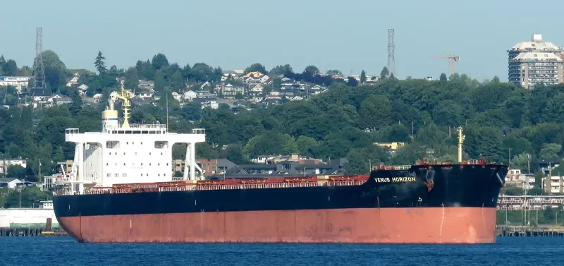 VENUS HORIZON Bulk Carrier IMO 9604952 photo 5