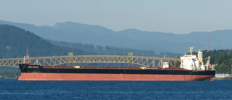 VENUS HORIZON Bulk Carrier IMO 9604952 photo 8