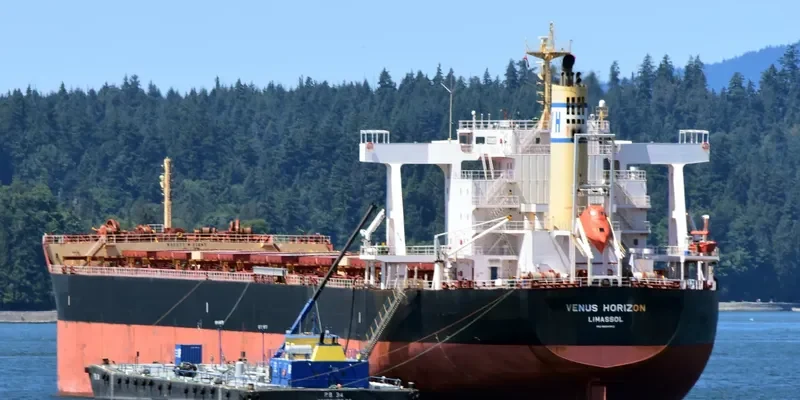 VENUS HORIZON Bulk Carrier IMO 9604952 photo 9