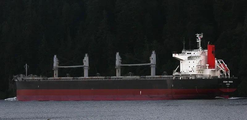 OCEAN VENUS Bulk Carrier IMO 9604964
