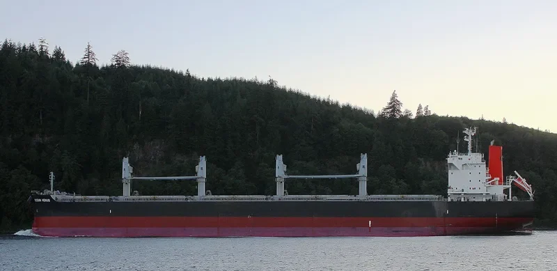 OCEAN VENUS Bulk Carrier IMO 9604964 photo 2