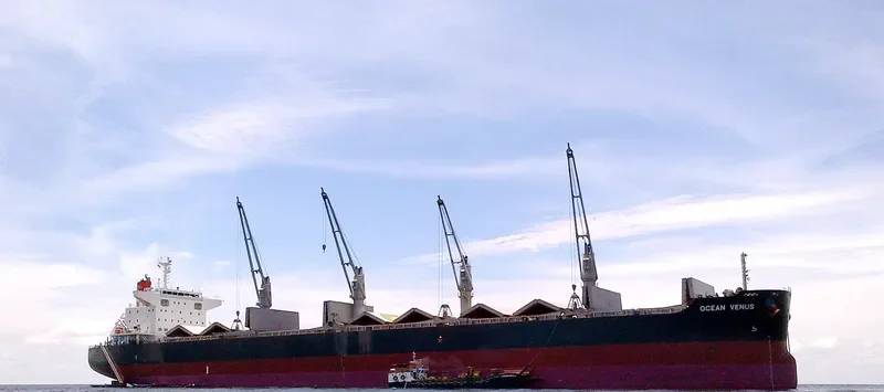 OCEAN VENUS Bulk Carrier IMO 9604964 photo 3