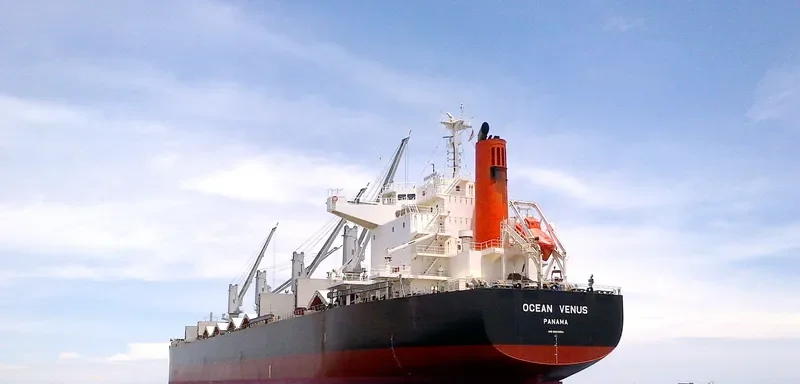 OCEAN VENUS Bulk Carrier IMO 9604964 photo 5