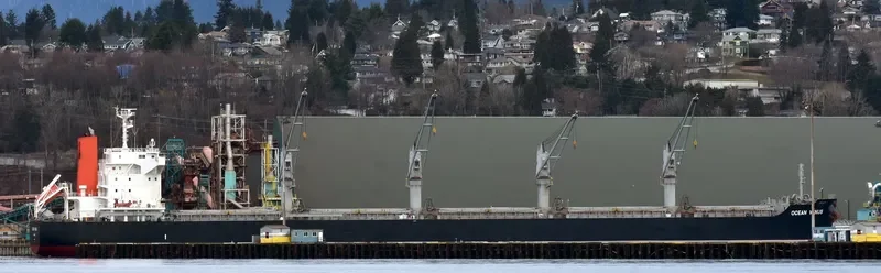 OCEAN VENUS Bulk Carrier IMO 9604964 photo 9