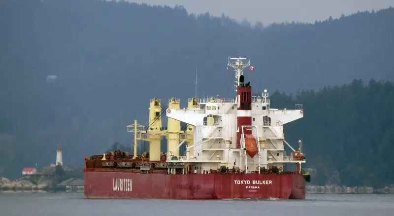 PROPEL GRACE Bulk Carrier IMO 9605023 photo 10