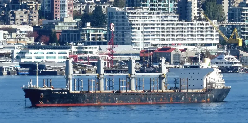 PACIFIC HOPE Bulk Carrier IMO 9605047 photo 2