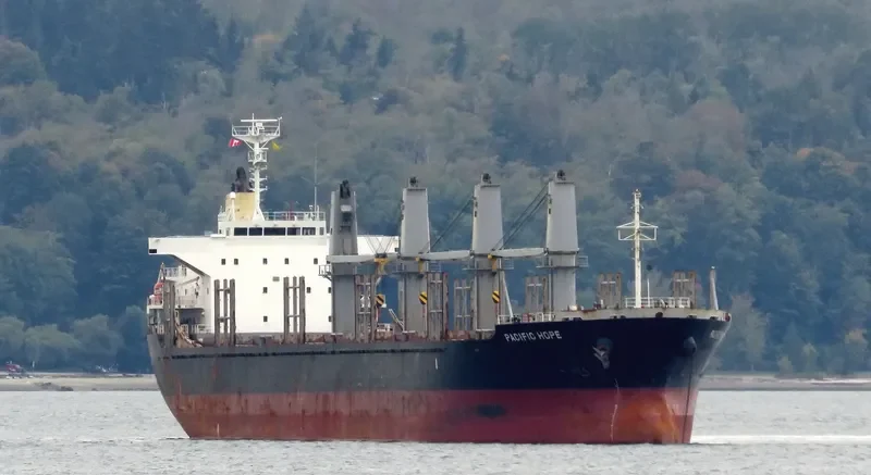 PACIFIC HOPE Bulk Carrier IMO 9605047 photo 4