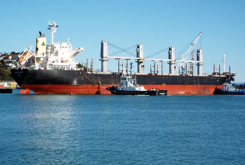 PACIFIC HOPE Bulk Carrier IMO 9605047 photo 7