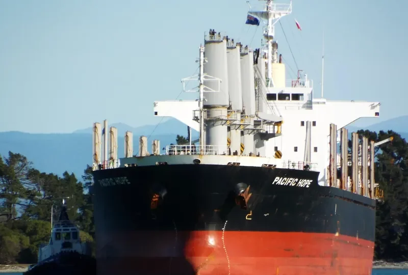 PACIFIC HOPE Bulk Carrier IMO 9605047 photo 9