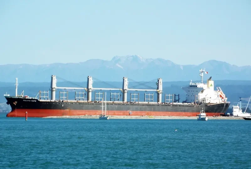 PACIFIC HOPE Bulk Carrier IMO 9605047 photo 10