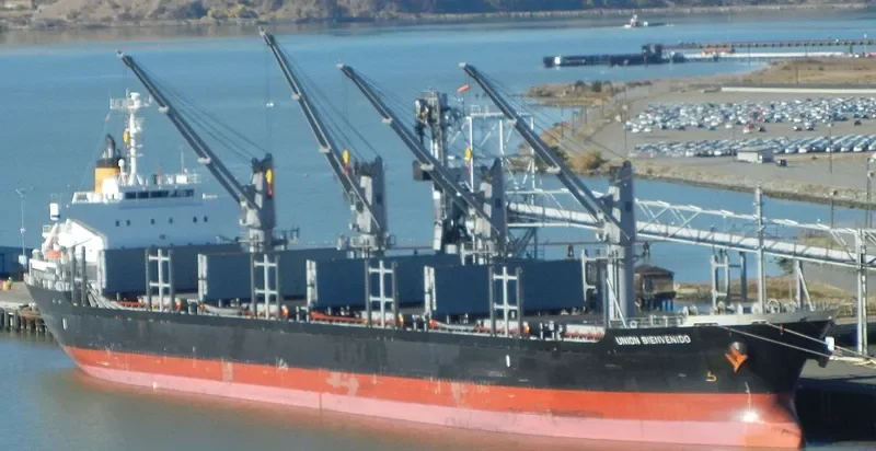 BONETTE Bulk Carrier IMO 9605061 photo 2