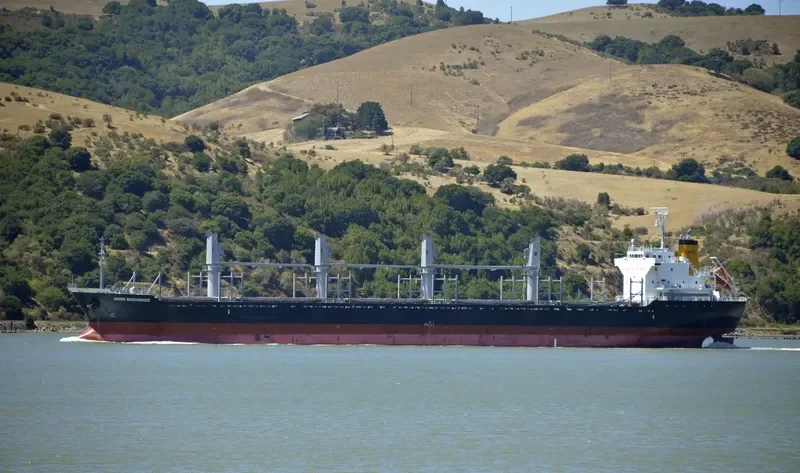 BONETTE Bulk Carrier IMO 9605061 photo 3