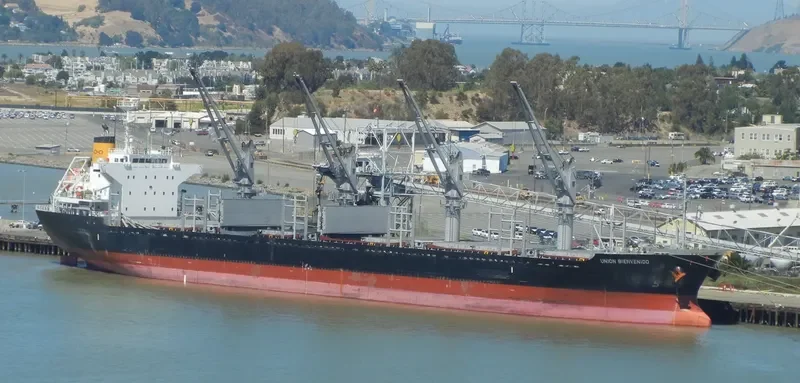 BONETTE Bulk Carrier IMO 9605061 photo 5