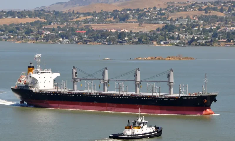 BONETTE Bulk Carrier IMO 9605061 photo 6