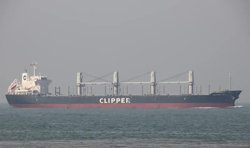 ATROMITOS L Bulk Carrier IMO 9605073 photo 6