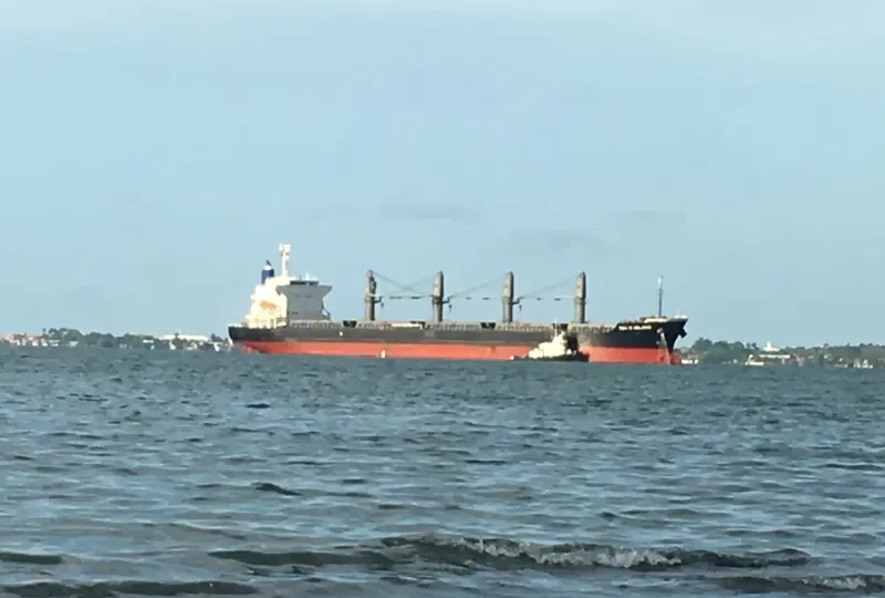 YOU&ISLAND Bulk Carrier IMO 9605085 photo 2