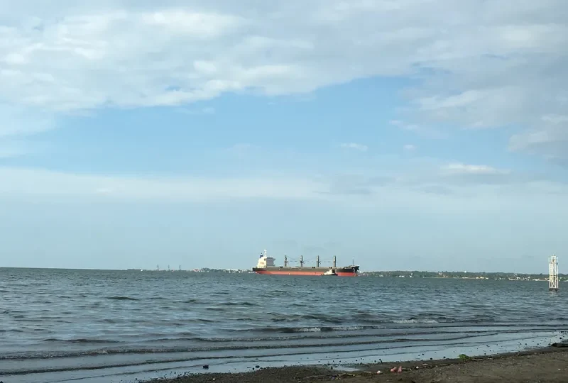 YOU&ISLAND Bulk Carrier IMO 9605085 photo 3