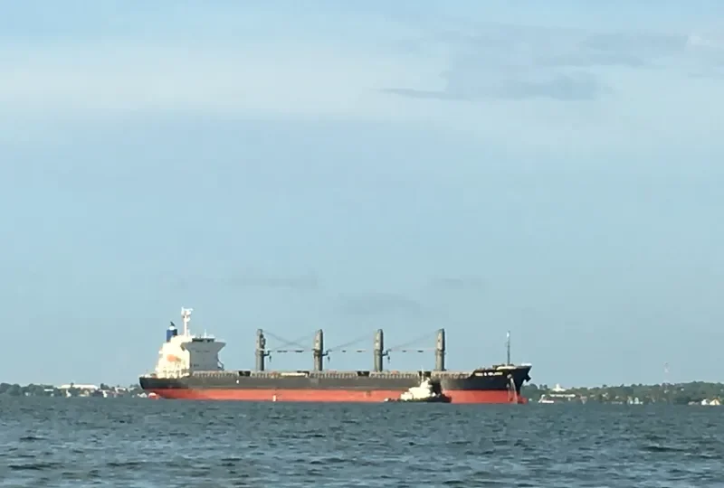 YOU&ISLAND Bulk Carrier IMO 9605085 photo 4