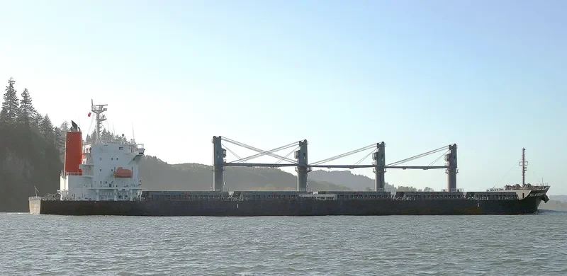 YOU&ISLAND Bulk Carrier IMO 9605085 photo 8