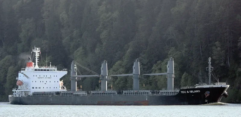 YOU&ISLAND Bulk Carrier IMO 9605085 photo 9